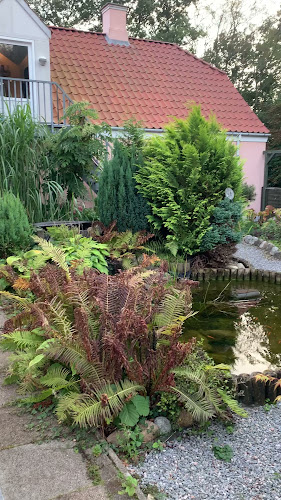 Opinii despre Skovvang Inn în Hals - Gastronomi og hotelvirksomhed