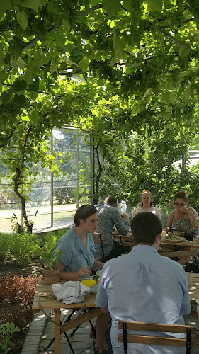 Comentarii opinii despre Sct. Hans Have