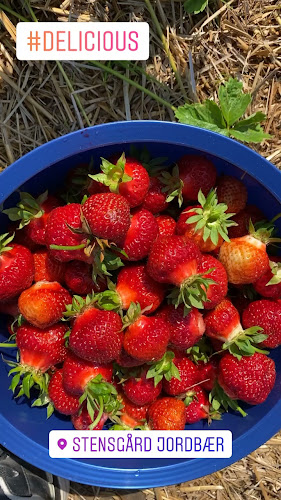 Opinii despre Stensgård Jordbær Selvpluk în Hjørring - Gastronomi og hotelvirksomhed