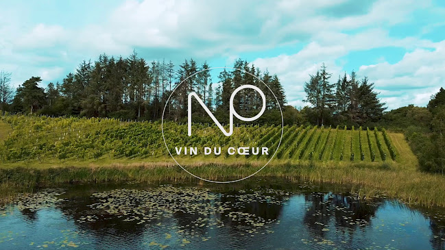 Opinii despre NP Vin - Vin Du Coeur în Kolding - Gastronomi og hotelvirksomhed