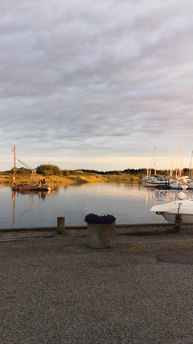 Opinii despre VIN TIL FOLKET în Hals - Gastronomi og hotelvirksomhed