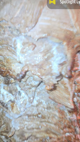 Opinii despre Shawarma Grill-House . Roskilde în Roskilde - Gastronomi og hotelvirksomhed