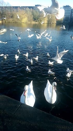 Opinii despre Salon 39 în Frederiksberg - Gastronomi og hotelvirksomhed