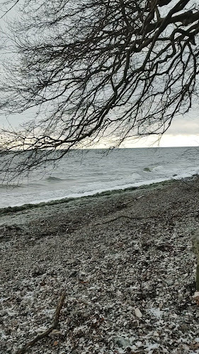 Comentarii opinii despre Strandmøllekroen