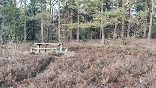 Grillplads Kompedal Plantage - Gastronomi og hotelvirksomhed