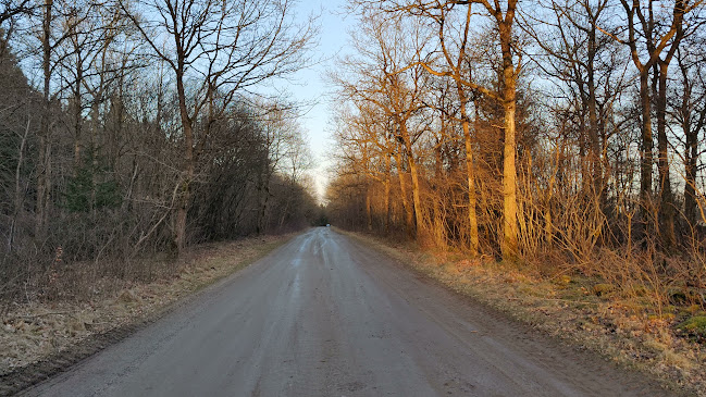 Urhanevej, 7470 Karup