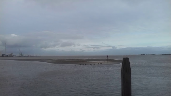 Opinii despre Fanø Krogaard în Fanø - Gastronomi og hotelvirksomhed