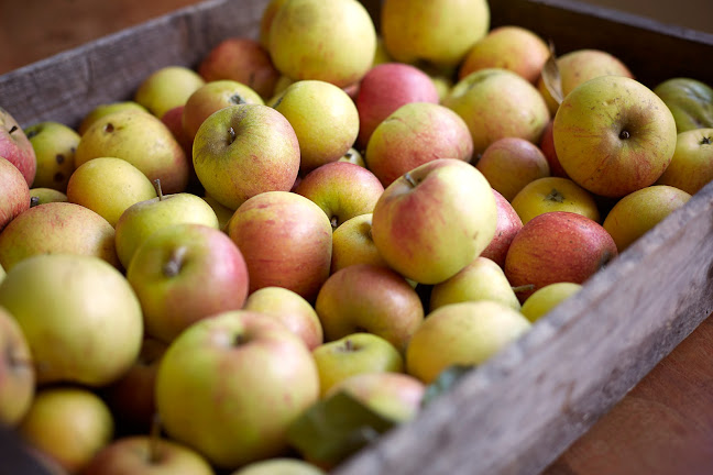 Opinii despre Gastro Catering ApS în Viborg - Gastronomi og hotelvirksomhed