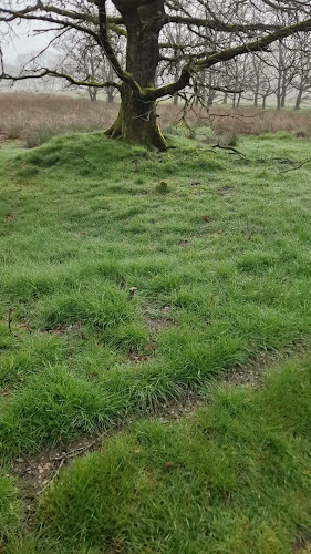 Vester Møllevej 11, 7323 Give