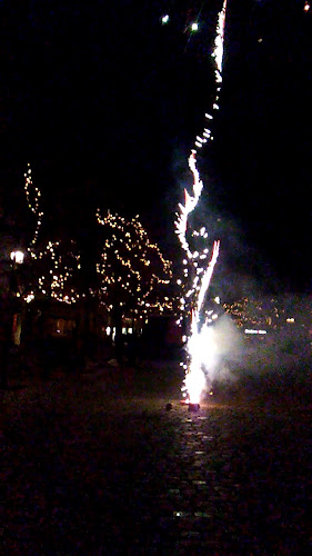 Opinii despre Asia House în Helsingør - Gastronomi og hotelvirksomhed