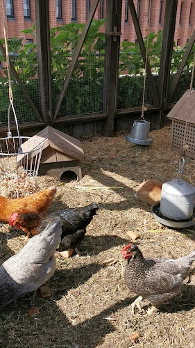 Gro Spiseri - Østerbro