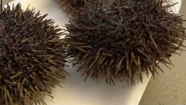 Comentarii opinii despre Selfish