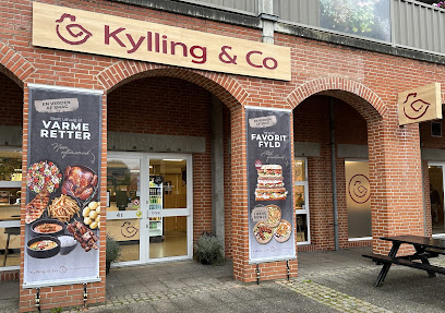 Kylling & Co, Aars