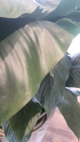 Rankin Park Café - Esbjerg