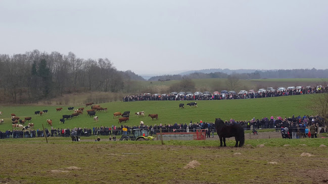 Ny Lundgård Ismejeri