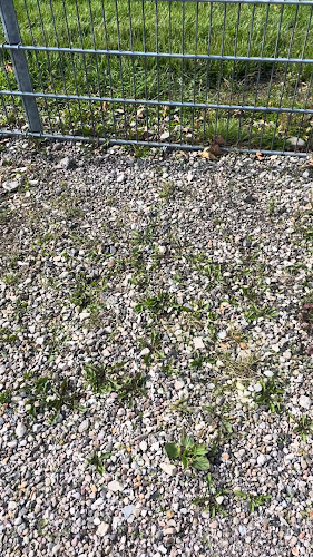 Opinii despre Restaurant Equi în Odense - Gastronomi og hotelvirksomhed