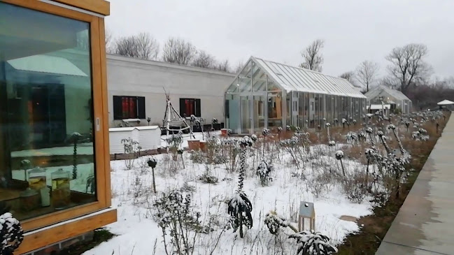 Noma - Gastronomi og hotelvirksomhed