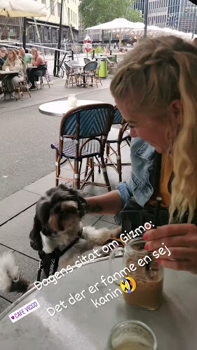 Cafe Viggo - Aarhus