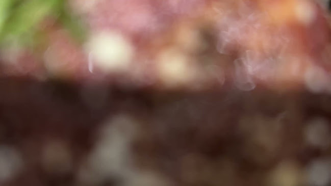 Skolegade 17, 6700 Esbjerg