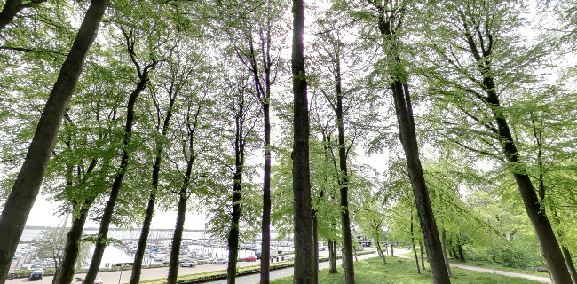 Comentarii opinii despre A Hereford Beefstouw