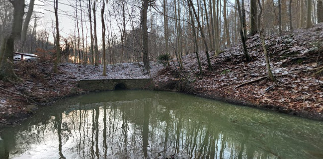 Restaurant Thors Mølle - Gastronomi og hotelvirksomhed