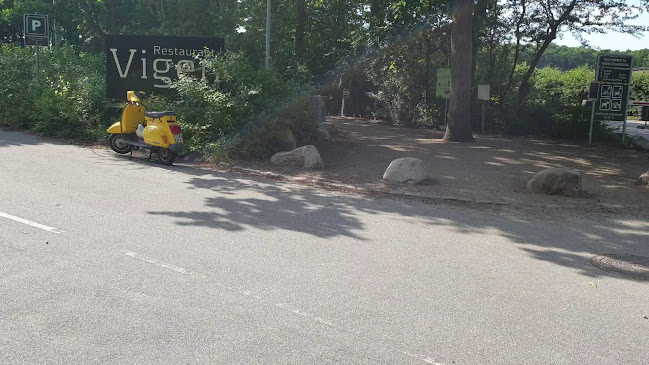 Opinii despre Restaurant Vigen în Roskilde - Gastronomi og hotelvirksomhed