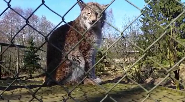 Cafe Travbanen - Aakirkeby