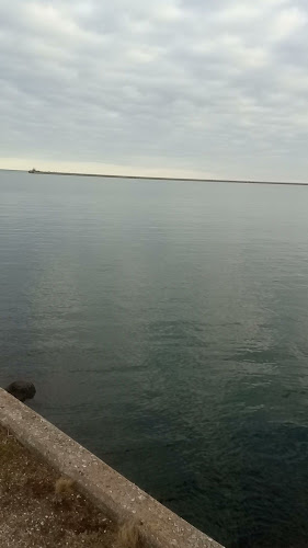 Comentarii opinii despre Monarch Nyborg