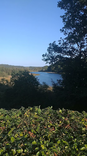 Restaurant Rørbæk Sø