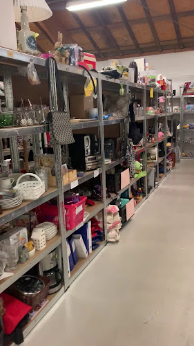 Opinii despre Flea Loppen în Esbjerg - Gastronomi og hotelvirksomhed