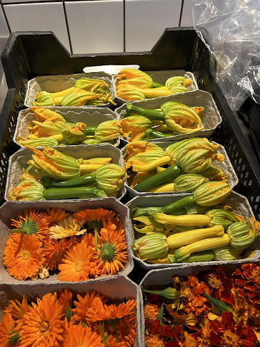 Vesterbro 65, 9000 Aalborg