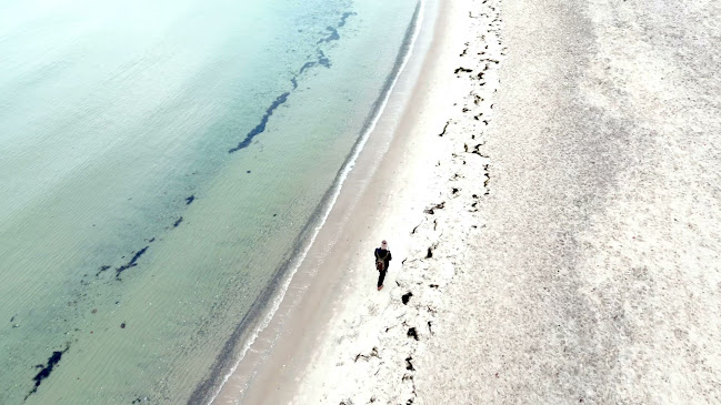 Comentarii opinii despre Ofelia Bar