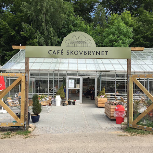 Cafe Skovbrynet - Helsingør