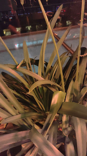 Comentarii opinii despre Sticks'n'Sushi Tivoli Haven