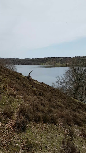 Dollerup Ishus - Gastronomi og hotelvirksomhed