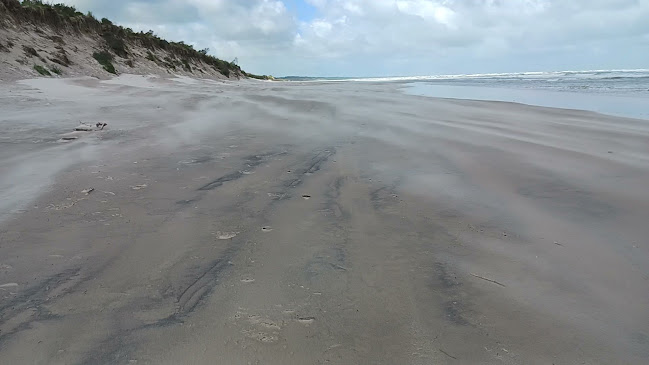 Det Blå Ishus - Gastronomi og hotelvirksomhed