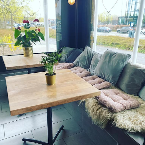 Comentarii opinii despre Salato