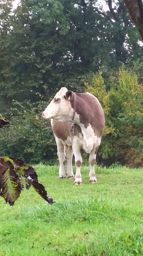 Restaurant Stenbymølle