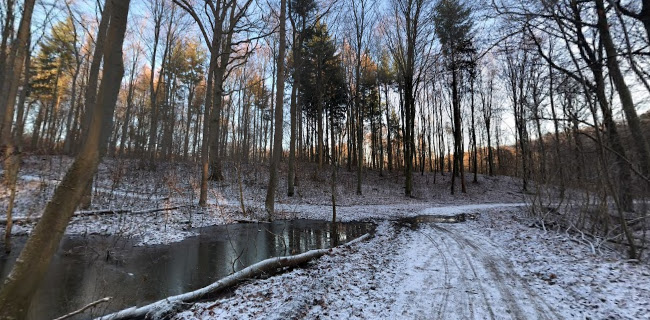 Opinii despre Restaurant Thors Mølle în Aarhus - Gastronomi og hotelvirksomhed