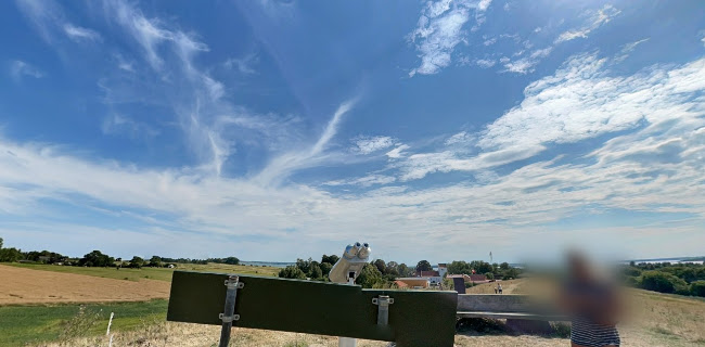 Opinii despre Orø Kro în Orø - Gastronomi og hotelvirksomhed