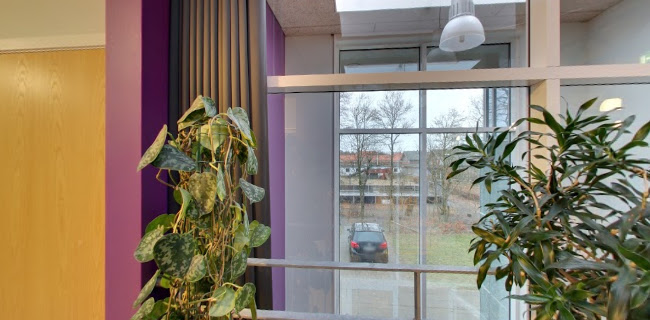 Opinii despre Cafe Møllen v/Morten Dalsgaard în Viborg - Gastronomi og hotelvirksomhed