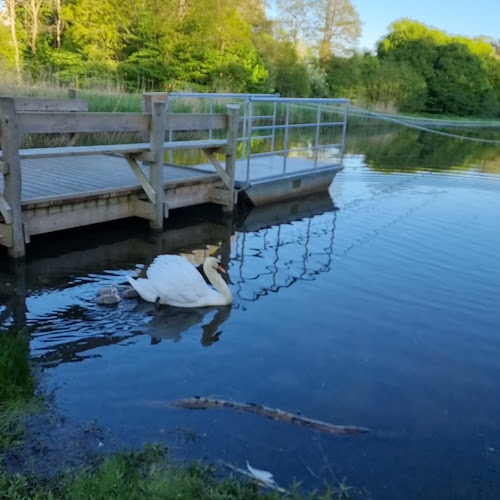 Restaurant Svanelunden