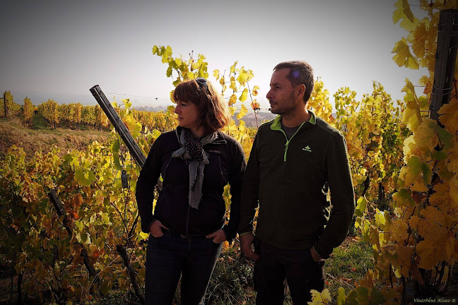 Alsacevinene - Gastronomi og hotelvirksomhed