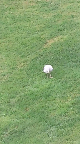 Køgevej 39, 4000 Roskilde