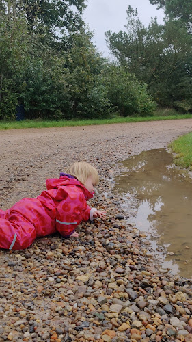Jegum Café og Købmand