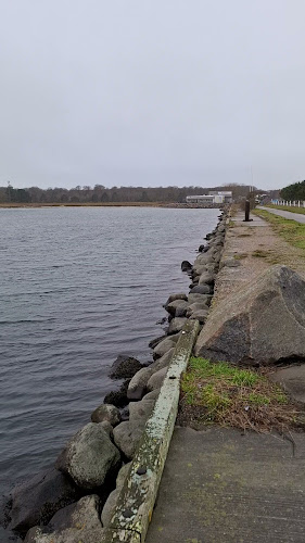 Monarch Nyborg - Nyborg