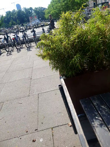 Comentarii opinii despre Stempel - Bar & Kitchen