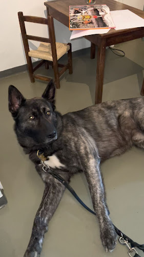 Petit Cafe - Gastronomi og hotelvirksomhed