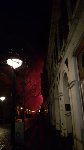 Opinii despre Bubsi în Struer - Gastronomi og hotelvirksomhed