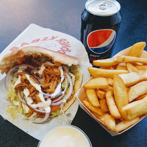 Vefa Kebab ApS - Gastronomi og hotelvirksomhed